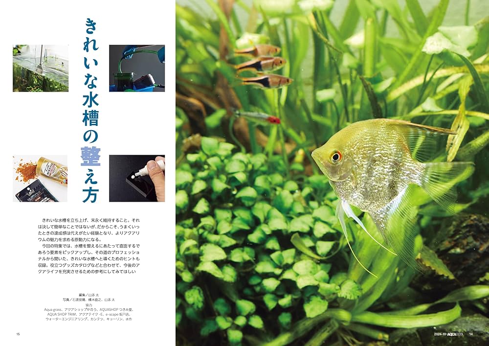 アクアリウム関連書籍26冊セット アクアライフ他 アクアリウム関連書籍26冊セット アクアライフ他 2025年最新